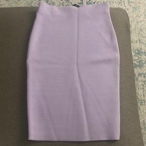 NWT Express Pencil Skirt